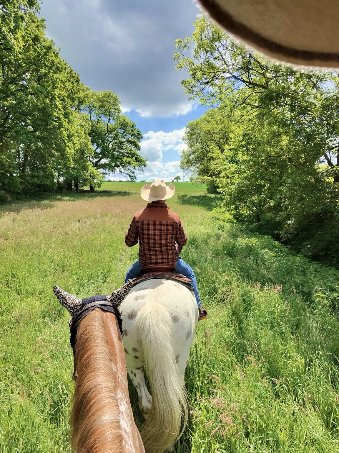 Marc und Spirit bei einem Ausritt durch eine grüne Landschaft